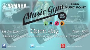 learn to play with Music gym